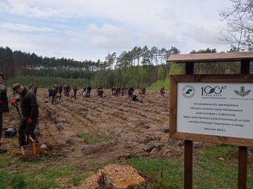 Sadzimy las na 100-lecie Lasów Państwowych, 